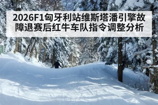 2026F1匈牙利站维斯塔潘引擎故障退赛后红牛车队指令调整分析