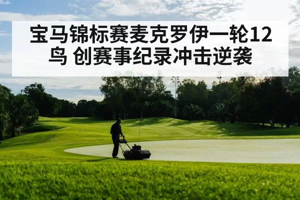 宝马锦标赛麦克罗伊一轮12鸟 创赛事纪录冲击逆袭